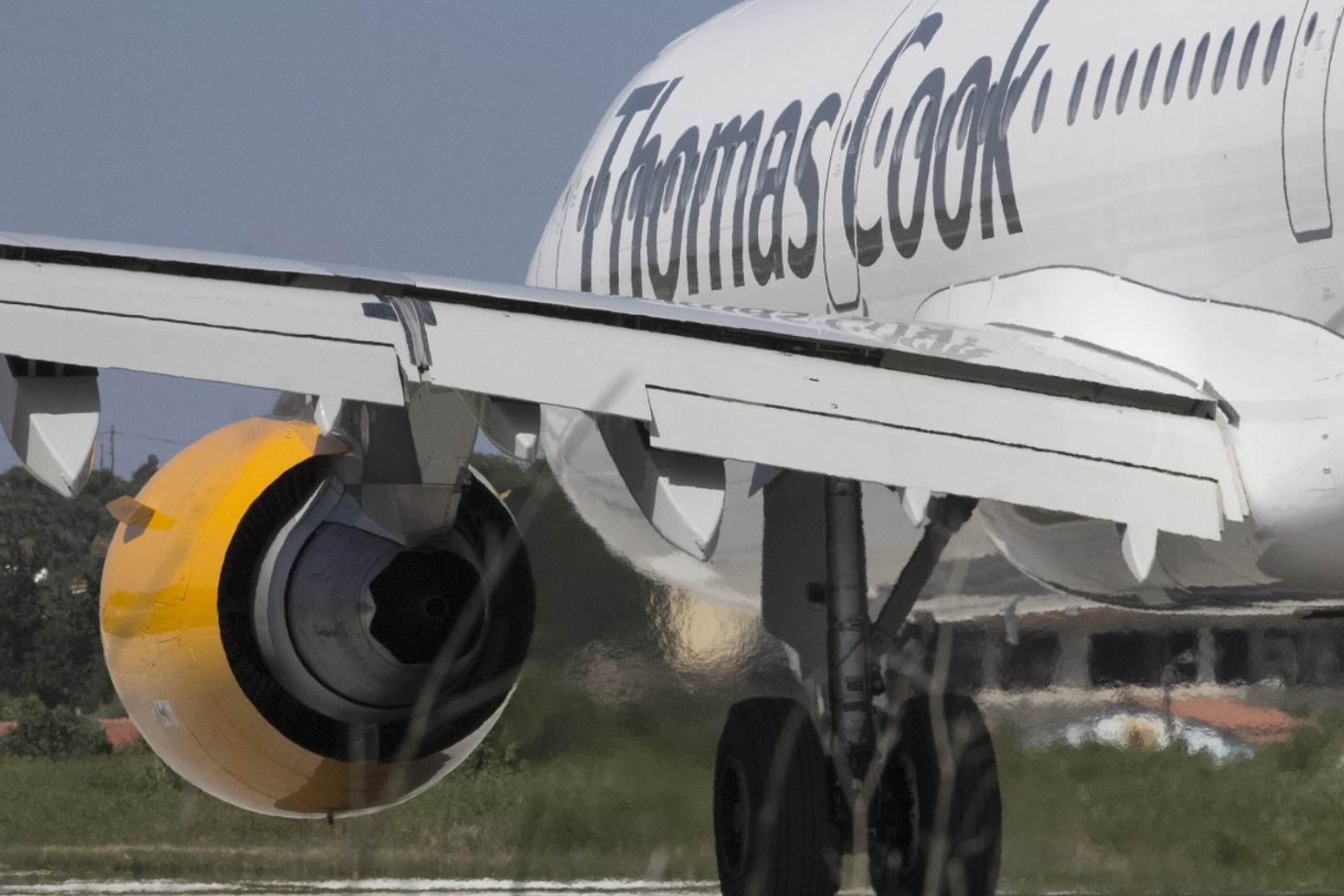 HAYS TRAVEL TO PURCHASE 555 THOMAS COOK STORES 